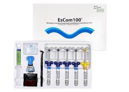 Universal composite resin EsCom 100 5 syringe